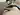 Alexxxx49